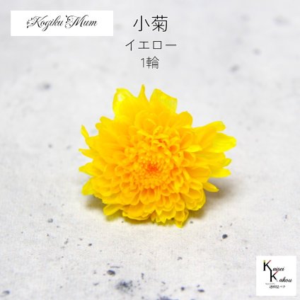 大地農園「小菊 イエロー 1輪」プリザーブドフラワー　プリザ　ハーバリウム　小花 ドライフラワー ハーバリウム アロマワックスバー