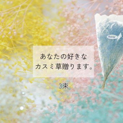 大地農園 「あなたの好きなカスミ草3束分贈ります」 プリザーブドフラワー 詰め合わせ kasumi カスミ草 花材 ハーバリウム　フラワー資材　フラワーアレンジ