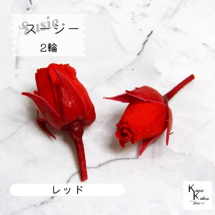 大地農園！プリザーブドフラワー 「スージー レッド 2輪」  贈り物　オオチノウエン