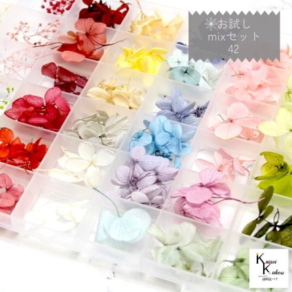 「お試し花材mixセット 42マス」 おまかせセット 福袋 アソート 花材セット プリザ 花材 ハーバリウム おしゃれ かわいい プレゼント 贈り物 オオチノウエン