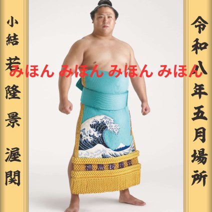 若隆景 渥 関　優勝ミニ額 大相撲ミニ額 大相撲優勝額　令和８（２０２６）年５月場所 優勝 小結 若隆景 関（２回目）優勝記念品 相撲グッズ 力士グッズ 相撲取りグッズ 国技館 限定品 記念品 コレクション 写真 R0803