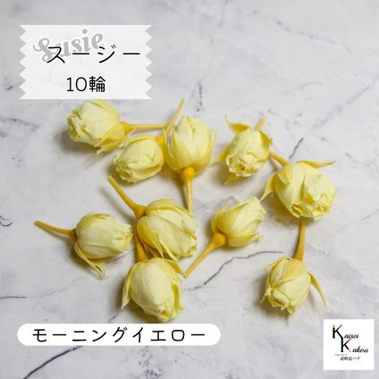 大地農園！プリザーブドフラワー 「スージー モーニングイエロー 10輪」プリザ 花材 ハーバリウム おしゃれ かわいい プレゼント 贈り物　オオチノウエン