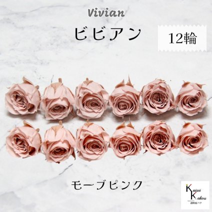 大地農園！プリザーブドフラワー 「ビビアン モーブピンク 12輪」  プリザ 花材 ハーバリウム  おしゃれ かわいい プレゼント 贈り物 オオチノウエン バラ 薔薇 ローズ rose