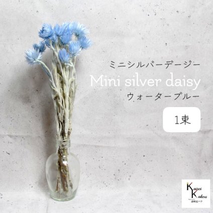 大地農園！プリザーブドフラワー 「ミニシルバーデージー ウォーターブルー 1束 」 プリザ ギフト 花材 資材 インテリア ハーバリウム プレゼント 贈り物 お見舞い シンプル 材料 フラワーアレンジ アレンジメント 手芸 工作