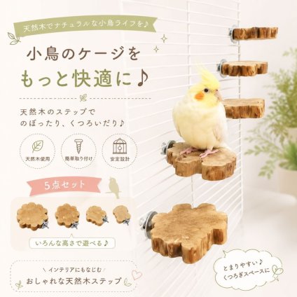 5点セット 天然木 小鳥用ステップ 止まり木 ステージ 木製スタンド ケージ取り付け インコ オウム 文鳥 鳥用用品