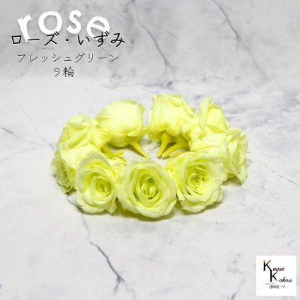 大地農園！プリザーブドフラワー 「ローズいずみ 9輪 フレッシュグリーン」プリザ 花材 ハーバリウム おしゃれ かわいい プレゼント 贈り物　オオチノウエン バラ 薔薇 ローズ rose