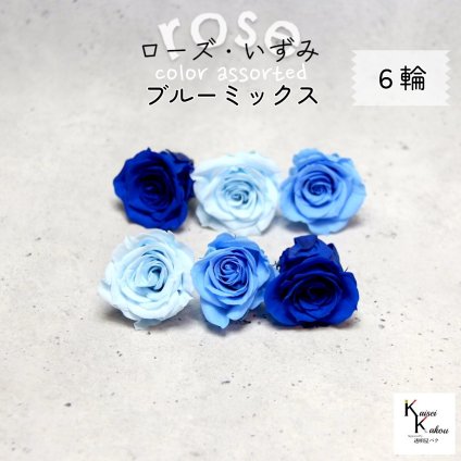 大地農園！プリザーブドフラワー 「ローズいずみ カラーアソート ブルーミックス 2輪ずつ6輪」 「ベビーブルー ソーダブルー インディゴブルー 2輪ずつ6輪」 プリザ 花材 ハーバリウム オオチノウエン バラ 薔薇 ローズ rose