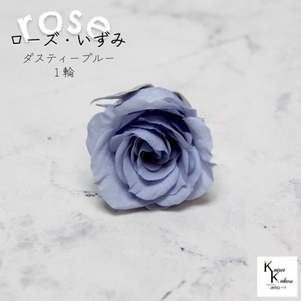 大地農園！プリザーブドフラワー 「ローズいずみ 1輪 ダスティーブルー」プリザ 花材 ハーバリウム おしゃれ かわいい プレゼント 贈り物　オオチノウエン バラ 薔薇 ローズ rose