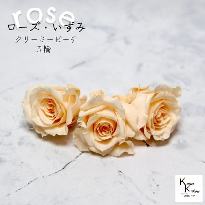大地農園！プリザーブドフラワー 「ローズいずみ 3輪 クリーミーピーチ」プリザ 花材 ハーバリウム おしゃれ かわいい プレゼント 贈り物　オオチノウエン バラ 薔薇 ローズ rose