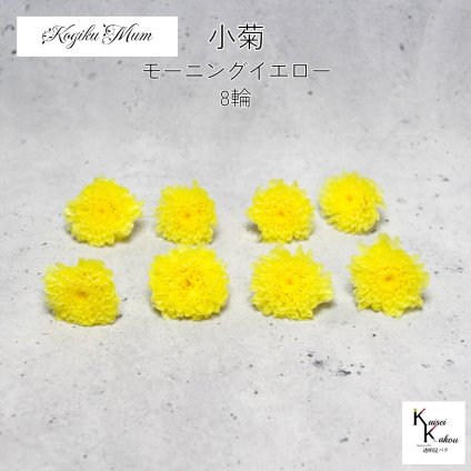 大地農園「小菊 モーニングイエロー 8輪」プリザーブドフラワー　プリザ　ハーバリウム　小花 ドライフラワー ハーバリウム アロマワックスバー