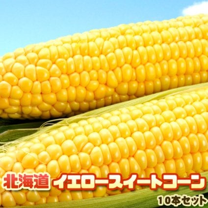 イエロースイートコーン 北海道 とうもろこし 10本入 送料無料 ※沖縄は送料別途加算