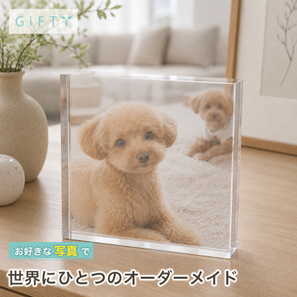 トイプードル ガラスブロック 愛犬 チワワ うちの子記念日 ディスプレイ うちの子 オリジナル 犬 贈り物 クリスタル メモリアルグッズ おしゃれ 名入れ メモリアルプレート 誕生日 ダックスフンド ペットメモリアル ペットグッズ フォトフレーム 写真 プレゼント フォトキューブ 高級 飼い主 ペット 記念日 ペット仏壇 ペット写真 記念品 愛犬家 写真立て ペットロス 置き物 ギフト【c01】
