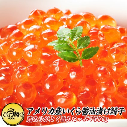 いくら 醤油漬け 500g 鱒子 アメリカ産 【ます子/イクラ/鱒いくら/いくら醤油漬】【お取り寄せ/グルメ/海鮮/ギフト/食べ物/贈答/プレゼント】