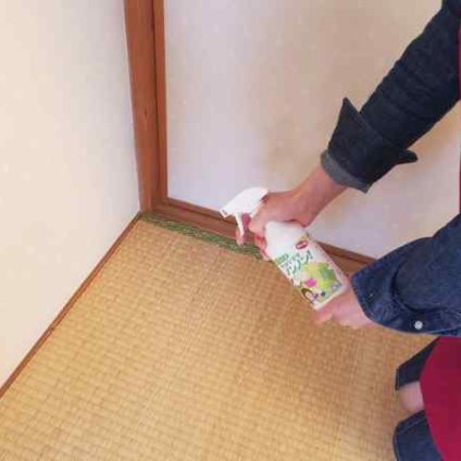 室内用 害虫ノンノン 500ml 化学殺虫成分フリー 沖縄産ゲットウ配合 害虫対策 忌避 スプレー カーペット 畳 ペット 台所 生ごみ 安全 お子様 無害 虫除け 虫よけ ハーブ 予防