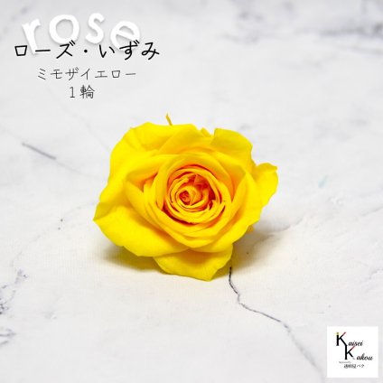 大地農園！プリザーブドフラワー 「ローズいずみ 1輪 ミモザイエロー」プリザ 花材 ハーバリウム おしゃれ かわいい プレゼント 贈り物　オオチノウエン バラ 薔薇 ローズ rose
