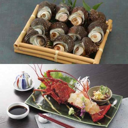 伊勢海老 伊勢エビ イセエビ 徳島県産 天然 サザエ さざえ 詰め合わせ セット 海鮮 ギフト お中元 お歳暮 お取り寄せ グルメ 高級 御祝 内祝 敬老の日 父の日 母の日 贅沢 魚介 海の幸 bbq バーベキュー