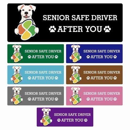 カーサイン 高齢者マーク SENIOR SAFE DRIVER ドゴアルヘンティーノ ステッカー シール 長方形 15x5cm 肉球 日本製 車