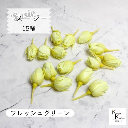 大地農園！プリザーブドフラワー 「スージー フレッシュグリーン 15輪」プリザ 花材 ハーバリウム おしゃれ かわいい プレゼント 贈り物　オオチノウエン