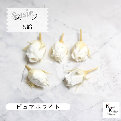 大地農園！プリザーブドフラワー 「スージー ピュアホワイト 5輪」プリザ 花材 ハーバリウム おしゃれ かわいい プレゼント 贈り物　オオチノウエン