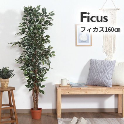 ガーデン エクステリア 観葉植物 ヤドリフカノキ ２１６ フェイクグリーン 植物 緑 グリーン 癒し 植木 インテリア ガーデニング おしゃれ カフェ リビング プランター ギフト プレゼント 贈り物 オフィス 会社 枯れない 簡単 手入れ 樹木 新生活