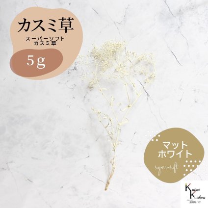 「大地農園 スーパーソフトミニカスミ草 マットホワイト  5g」 ドライフラワー 花材 ハーバリウム 素材 小さいお花 アレンジメント ギフト 母の日 お誕生日 オオチノウエン プリザーブドフラワー プリザーブド プリザ かすみそう カスミ ハンドメイド