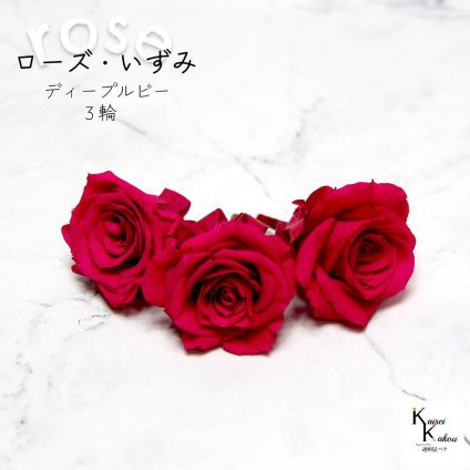 大地農園！プリザーブドフラワー 「ローズいずみ 3輪 ディープルビー」プリザ 花材 ハーバリウム おしゃれ かわいい プレゼント 贈り物　オオチノウエン バラ 薔薇 ローズ rose