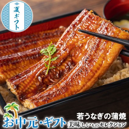  お中元 若 うなぎ の 蒲焼 鹿児島県産 築地魚力 約120g×3尾 タレ・山椒付き ※冷凍｜ お取り寄せ グルメ 贈物 御中元 N02-045042