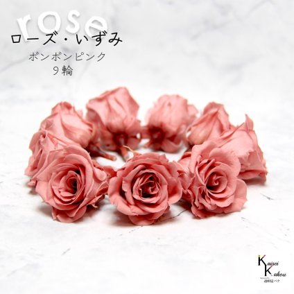 大地農園！プリザーブドフラワー 「ローズいずみ 9輪 ボンボンピンク」プリザ 花材 ハーバリウム おしゃれ かわいい プレゼント 贈り物　オオチノウエン バラ 薔薇 ローズ rose