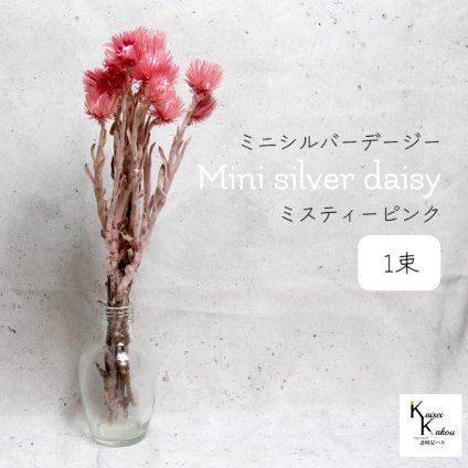 大地農園！プリザーブドフラワー 「ミニシルバーデージー ミスティーピンク 1束 」 プリザ ギフト 花材 資材 インテリア ハーバリウム プレゼント 贈り物 お見舞い シンプル 材料 フラワーアレンジ アレンジメント 手芸 工作