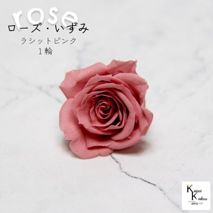 大地農園！プリザーブドフラワー 「ローズいずみ 1輪 ラシットピンク」プリザ 花材 ハーバリウム おしゃれ かわいい プレゼント 贈り物　オオチノウエン バラ 薔薇 ローズ rose