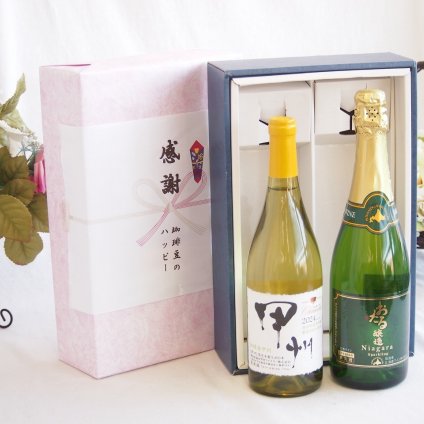 感謝の贈り物ボックス 勝沼甲州種ぶどう100%使用白ワインと国産ワインセット(おたる醸造 ナイアガラス白パークリングワインやや甘口(北海道)720mlシャンモリ柑橘香勝沼甲州白ワイン(山梨県)750ml