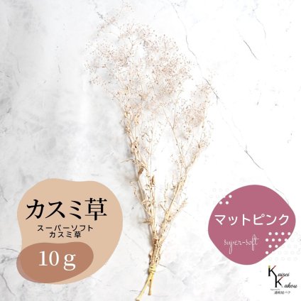 「大地農園 スーパーソフトミニカスミ草 マットピンク  10g」 ドライフラワー 花材 ハーバリウム 素材 小さいお花 アレンジメント ギフト 母の日 お誕生日 オオチノウエン プリザーブドフラワー プリザーブド プリザ かすみそう カスミ ハンドメイド