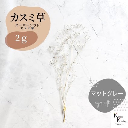 「大地農園 スーパーソフトミニカスミ草 マットグレー 2g 」 ドライフラワー 花材 ハーバリウム 素材 小さいお花 アレンジメント ギフト 母の日 お誕生日 オオチノウエン プリザーブドフラワー プリザーブド プリザ かすみそう カスミ ハンドメイド