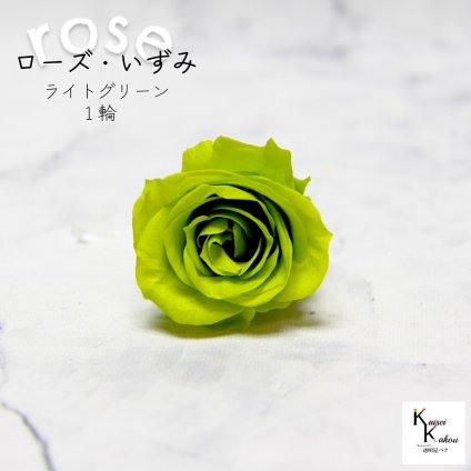 大地農園！プリザーブドフラワー 「ローズいずみ 1輪 ライトグリーン」プリザ 花材 ハーバリウム おしゃれ かわいい プレゼント 贈り物　オオチノウエン バラ 薔薇 ローズ rose
