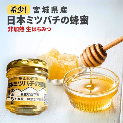 送料無料【数量限定！】 日本ミツバチ はちみつ 宮城県産 非加熱 生はちみつ 百花蜂蜜 百花蜜 希少 ニホンミツバチ にほんみつばち 国産