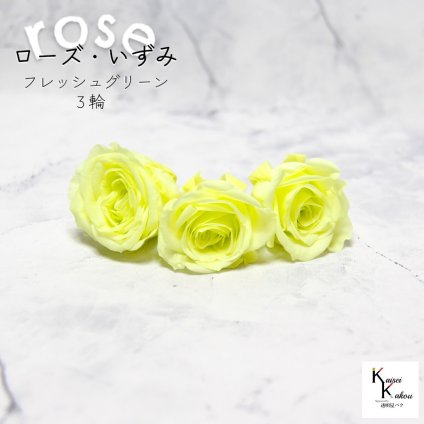 大地農園！プリザーブドフラワー 「ローズいずみ 3輪 フレッシュグリーン」プリザ 花材 ハーバリウム おしゃれ かわいい プレゼント 贈り物　オオチノウエン バラ 薔薇 ローズ rose