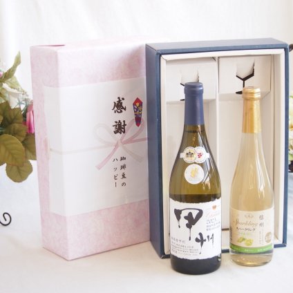 感謝の贈り物ボックス 山梨県甲州種ぶどう100%使用白ワインと国産ワインセット(信州シャインマスカット＆ナイアガラ スパークリングワインやや甘口(長野県)500mlシャンモリ柑橘香御坂甲州白ワイン(山梨県)750ml