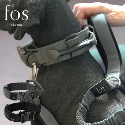 fos ノーブルカラー