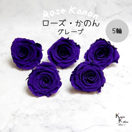 大地農園！プリザーブドフラワー 「ローズかのんL グレープ 5輪」プリザ 花材 ハーバリウム おしゃれ かわいい プレゼント 贈り物　オオチノウエン
