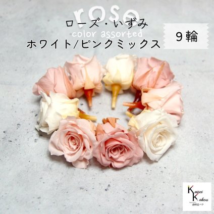 大地農園！プリザーブドフラワー 「ローズいずみ カラーアソート ホワイトピンクミックス 3輪ずつ9輪」 「ホワイトシャンパン ブライダルピンク バニラピンク 3輪ずつ9輪」 プリザ 花材 ハーバリウム オオチノウエン バラ 薔薇 ローズ rose