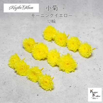大地農園「小菊 モーニングイエロー 12輪」プリザーブドフラワー　プリザ　ハーバリウム　小花 ドライフラワー ハーバリウム アロマワックスバー
