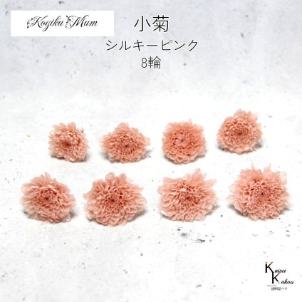 大地農園「小菊 シルキーピンク 8輪」プリザーブドフラワー　プリザ　ハーバリウム　小花 ドライフラワー ハーバリウム アロマワックスバー