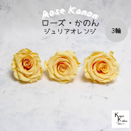 大地農園！プリザーブドフラワー 「ローズかのんL ジュリアオレンジ 3輪」プリザ 花材 ハーバリウム おしゃれ かわいい プレゼント 贈り物　オオチノウエン