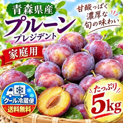 クール冷蔵便　青森県産　プルーン　プレジデント　家庭用　５ｋｇ　送料無料