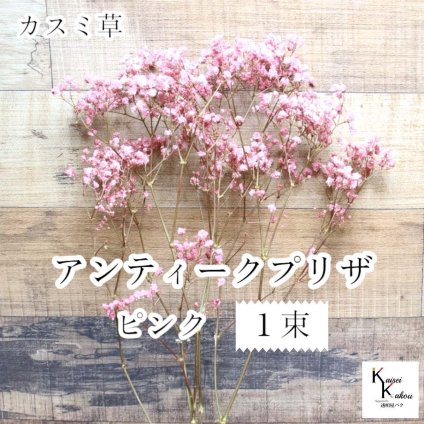 大地農園！プリザーブドフラワー 「アンティークプリザ・カスミ草 1束 ピンク」プリザ カスミ草 カスミソウ 花材 ハーバリウム おしゃれ かわいい プレゼント 贈り物　オオチノウエン