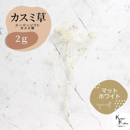「大地農園 スーパーソフトミニカスミ草 マットホワイト  2g」 ドライフラワー 花材 ハーバリウム 素材 小さいお花 アレンジメント ギフト 母の日 お誕生日 オオチノウエン プリザーブドフラワー プリザーブド プリザ かすみそう カスミ ハンドメイド