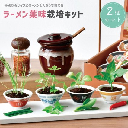 【2個セット】ラーメン薬味栽培キット 植物 ネギ 唐辛子 三つ葉 チンゲンサイ ラーメンどんぶり グリーン インテリア 手のひらサイズ 小さ目 コンパクトサイズ 手軽  プレゼント ギフト 女性 男性 父 母 実用的 誕生日 敬老の日 無料ラッピング