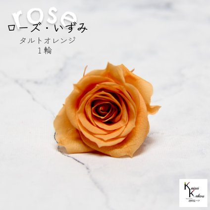 大地農園！プリザーブドフラワー 「ローズいずみ 1輪 タルトオレンジ」プリザ 花材 ハーバリウム おしゃれ かわいい プレゼント 贈り物　オオチノウエン バラ 薔薇 ローズ rose
