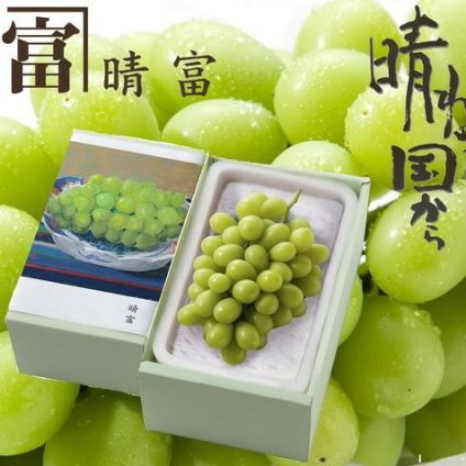 シャインマスカット 1房（約500g）【送料無料】_GM229-150__フルーツ/果物/お中元