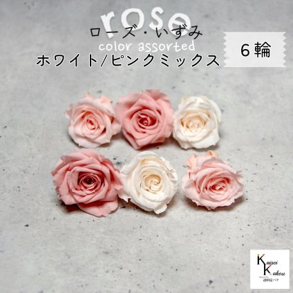 大地農園！プリザーブドフラワー 「ローズいずみ カラーアソート ホワイトピンクミックス 2輪ずつ6輪」 「ホワイトシャンパン ブライダルピンク バニラピンク 2輪ずつ6輪」 プリザ 花材 ハーバリウム オオチノウエン バラ 薔薇 ローズ rose